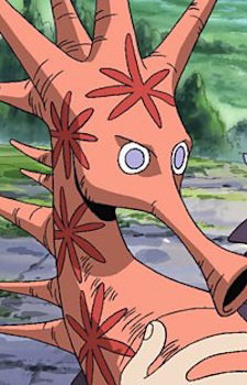 Noko