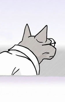 Cat Professor