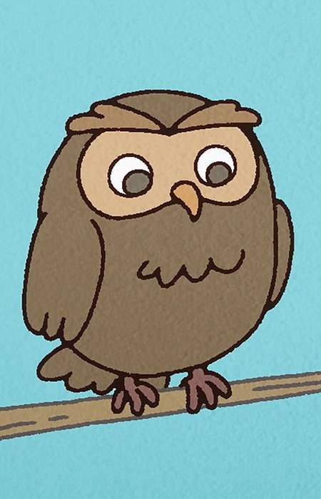 Owl
